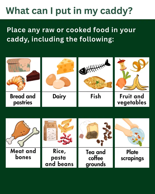 What can I put in my caddy? Place any raw or cooked food in your caddy, including the following: Bread, baked goods such as cake and pastries; dairy (such as eggs and cheese); fish (including bones); fruit and vegetables (such as carrot tops, banana or orange peel or apple cores); meat and bones; rice, pasta and beans; tea and coffee grounds; and plate scrapings.  