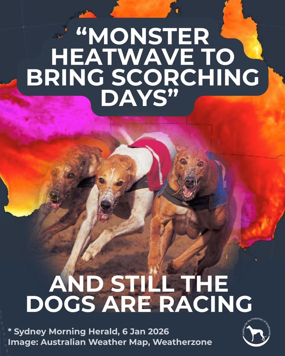 dominic dyer tweet media