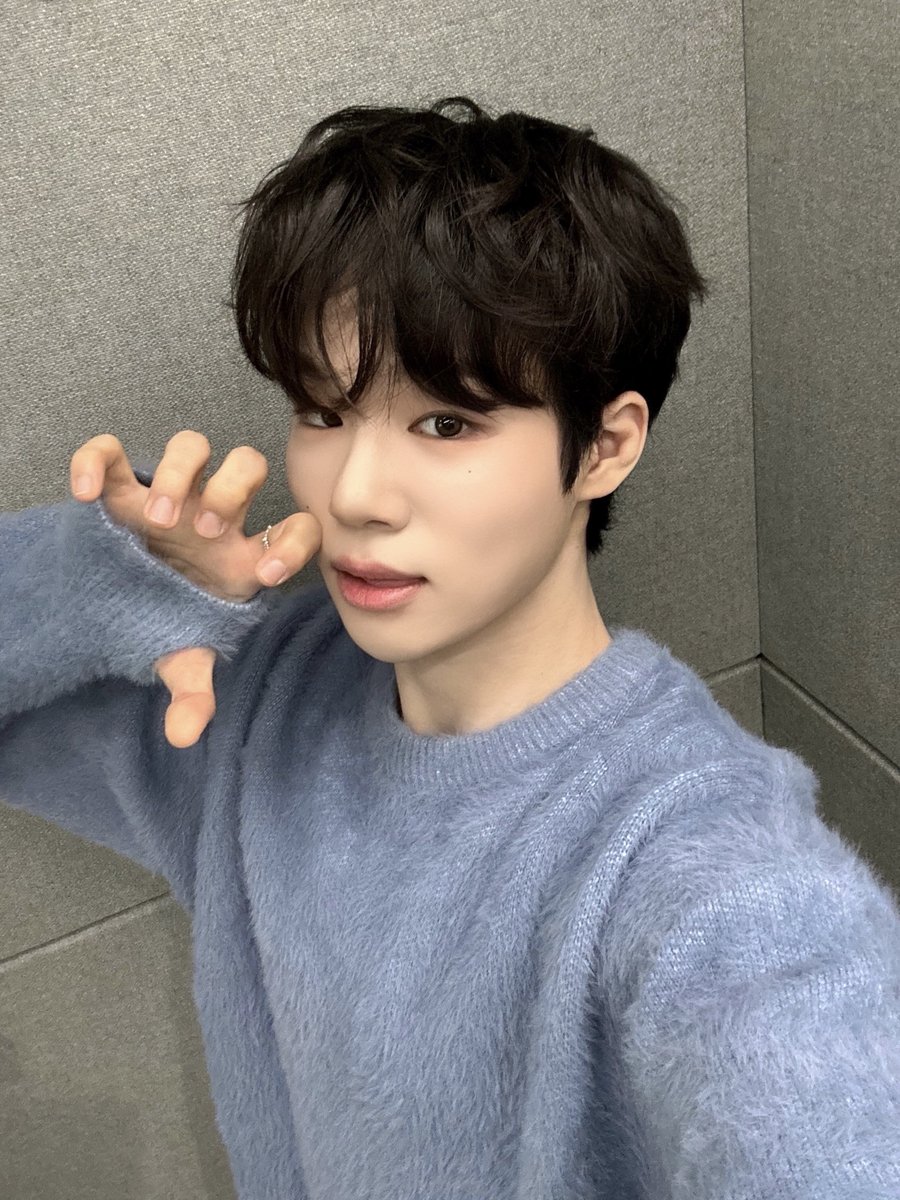 The Wind JAPAN OFFICIAL tweet media