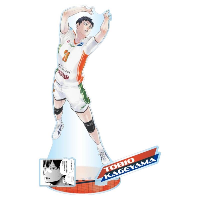 ⚠️1/7(水)受注締切⚠️】 🌟大好評受注中🌟 『#ハイキュー