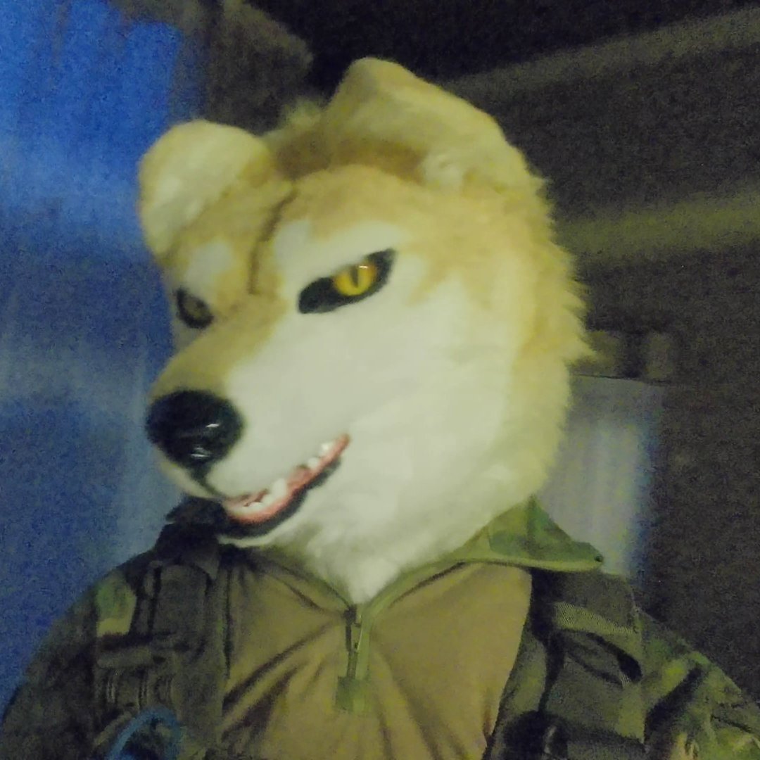 wolfmuzzle11's tweet image. #JMoF2026で会えません
年初は忙しいのよ😿亜麻艸たん