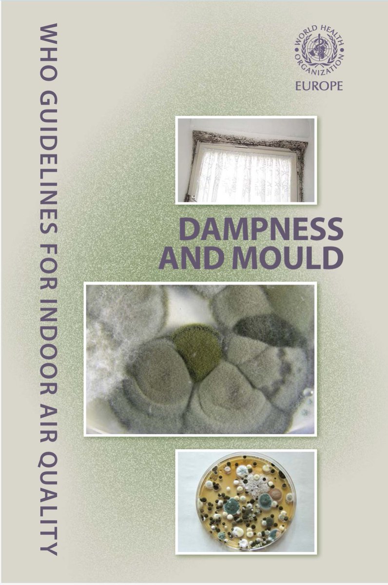dosenkesmas's tweet image. "Kenapa didiagnosis Pneumonia padahal cuma di kamar? Jawabannya: Hypersensitivity Pneumonitis.

Kamar lembap = Sarang jamur &amp;amp; tungau. Pengharum ruangan = Volatile Organic Compounds (VOCs).

Kamar lembap + pengharum ruangan itu kombinasi maut. 🚨

Paru-paru kita nggak didesain…