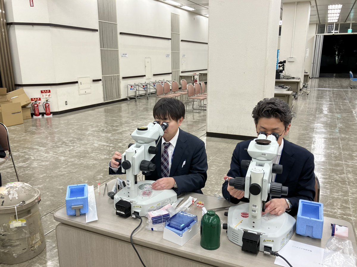 日本臨床エンブリオロジスト学会 tweet media