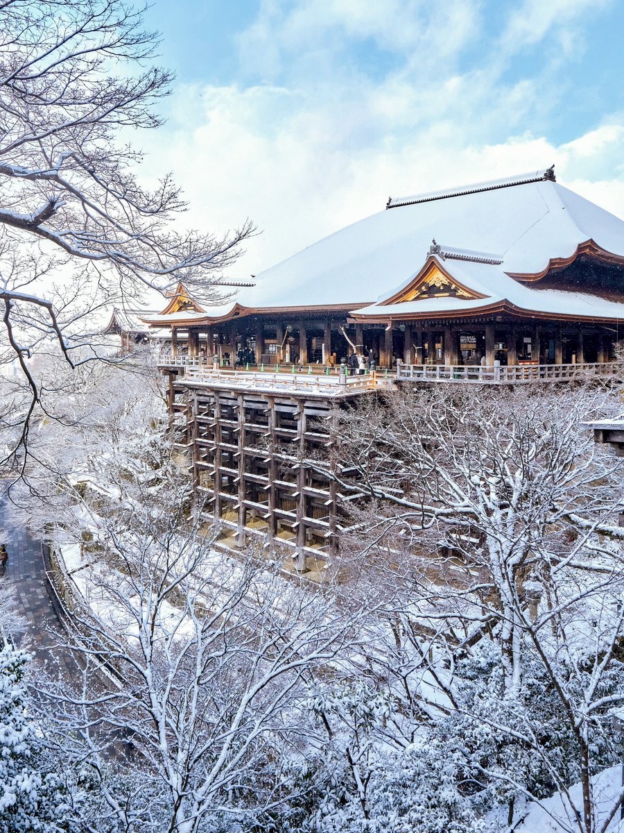 𝚋𝚒𝚛𝚍 tweet media