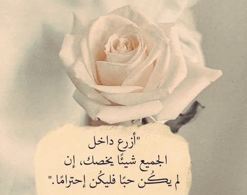 فقط كن صادقاً مع نفسك قبل الآخرين بكل الأحوال سلام🖐🏻