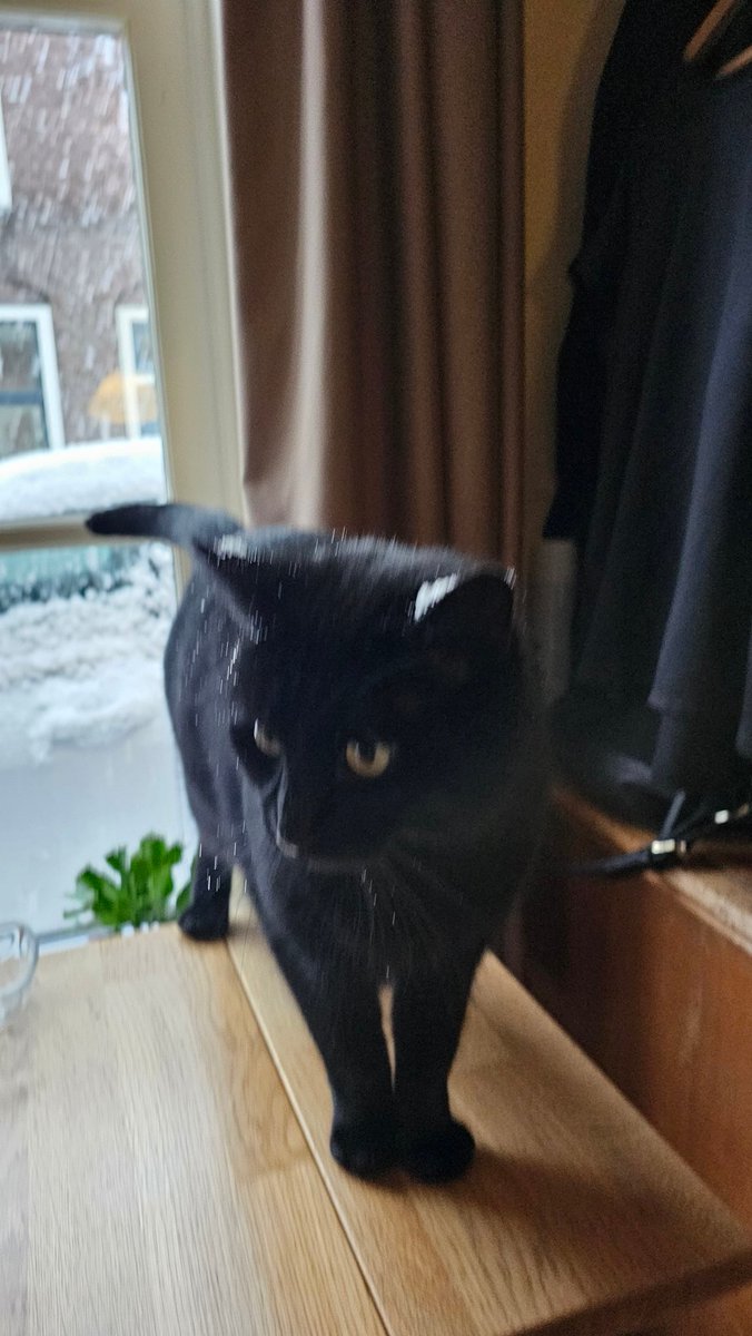 Goedemorgen allemaal mooie dag!doe voorzichtig!👋☕️☕️🧣🧤🛷🪏