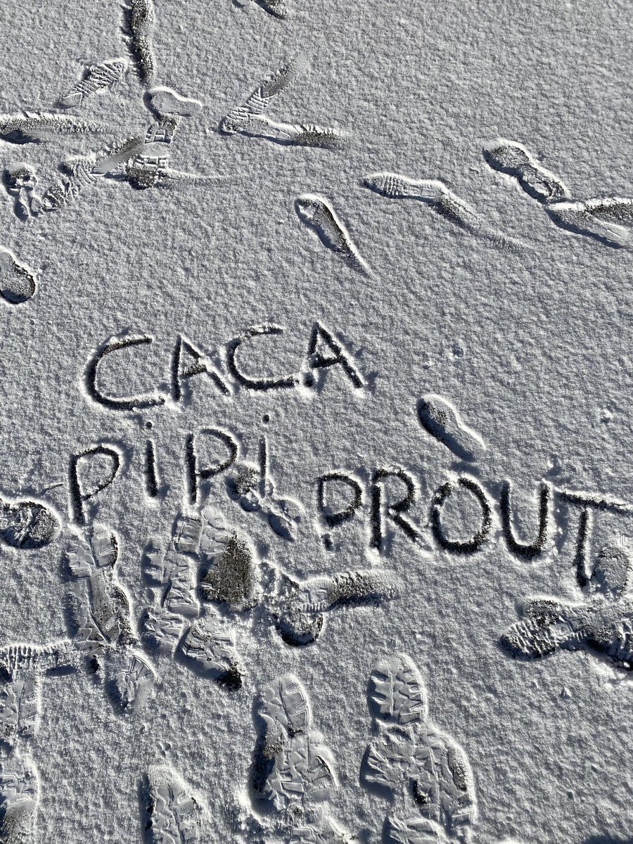 𝑳𝒆́𝒂 tweet media