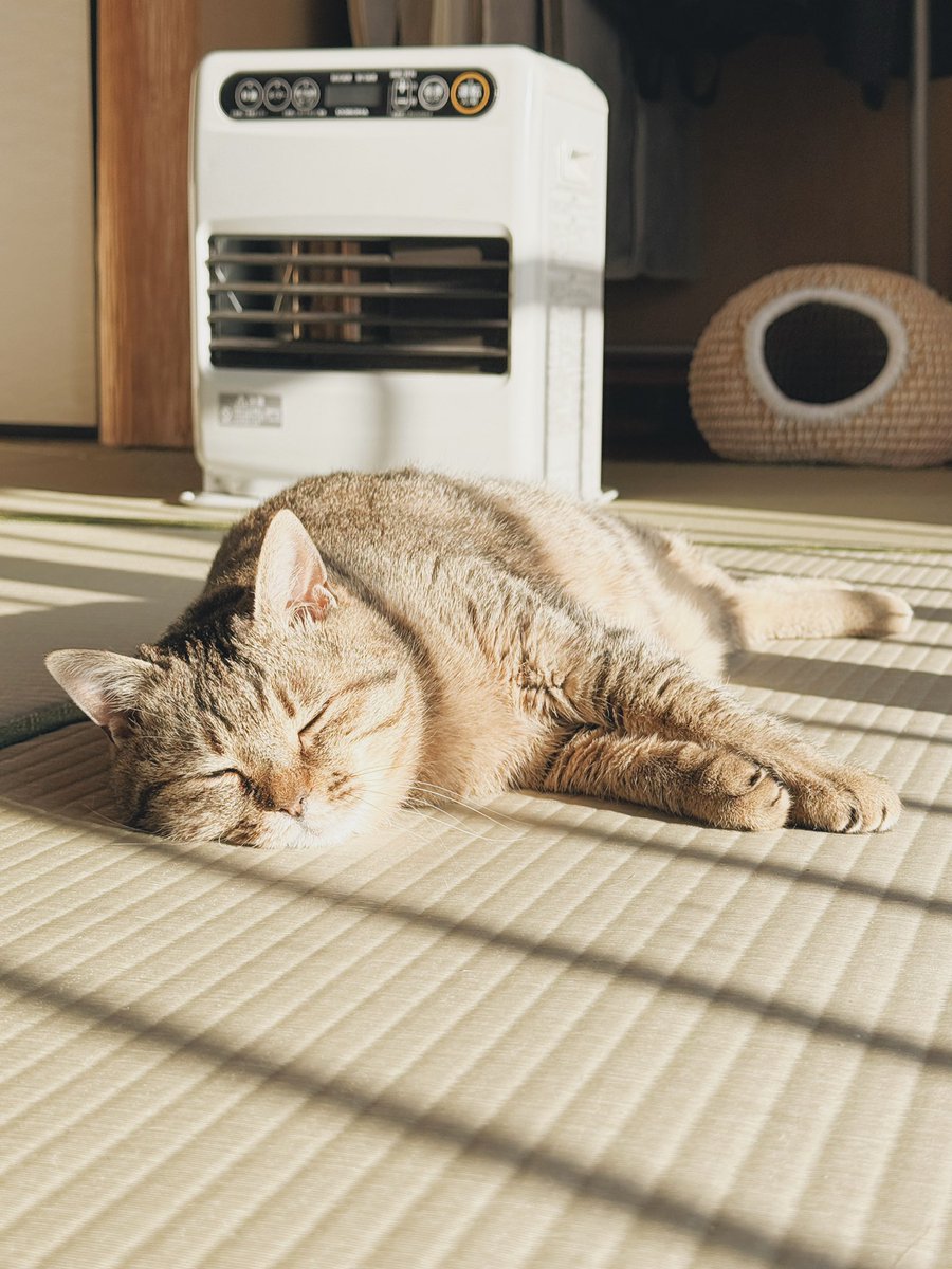 marupi_0901's tweet photo. ホカホカチャージ https://t.co/LmLfdbFkjC