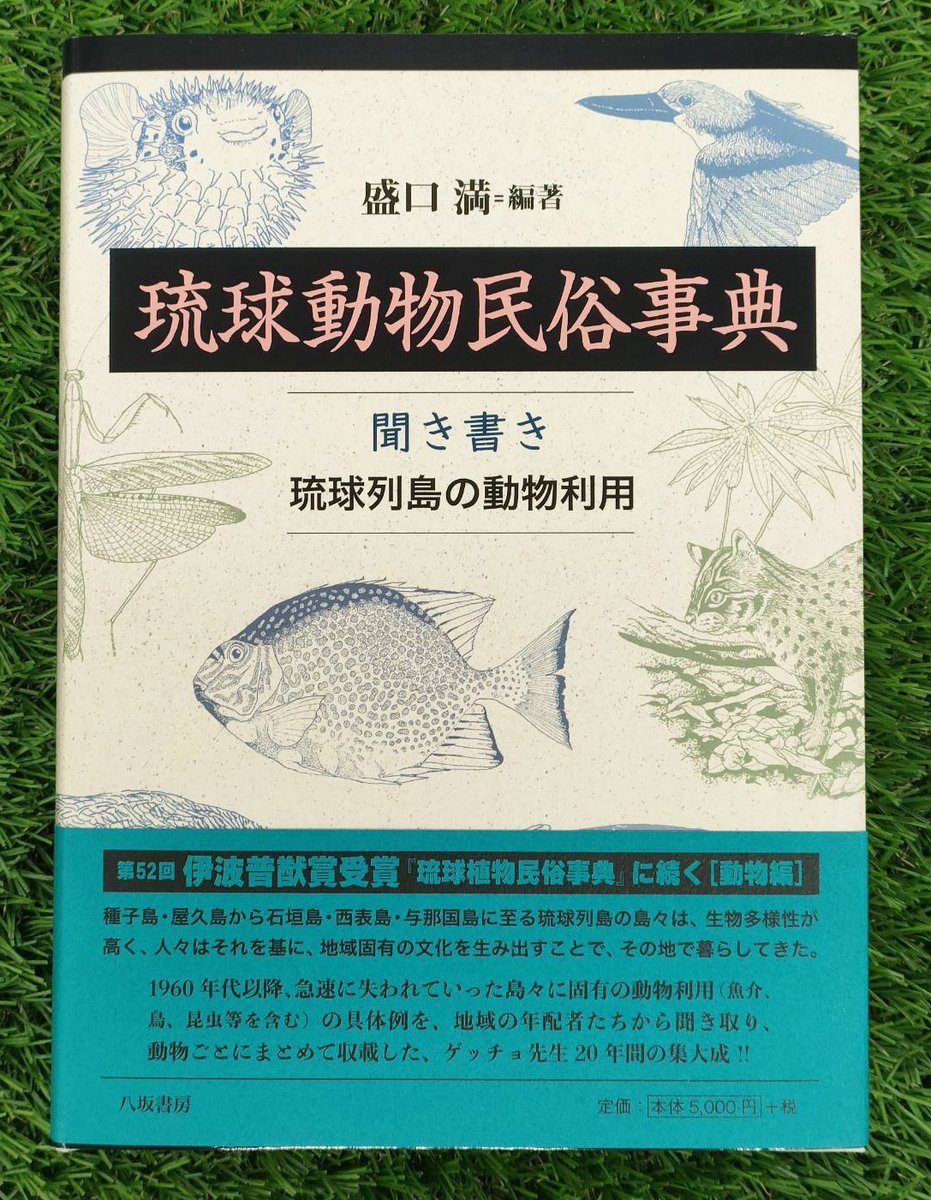 書籍入荷情報】 盛口 満さん 『琉球動物民俗事典：聞き書き 琉球列島の