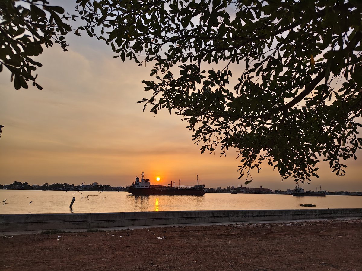 นายกล้วยหอม🍌v.2 tweet media