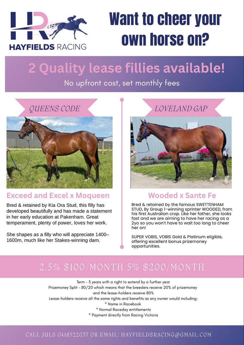 SwettenhamStud's tweet image. Exciting lease opportunity @HayfieldsRacing !🐴💫

✅ No upfront costs
✅ Set monthly fees
✅ Quality fillies on offer

Contact hayfieldsracing@gmail.com to get involved in our WOODED filly and @kiaorastud’s EXCEED AND EXCEL filly!