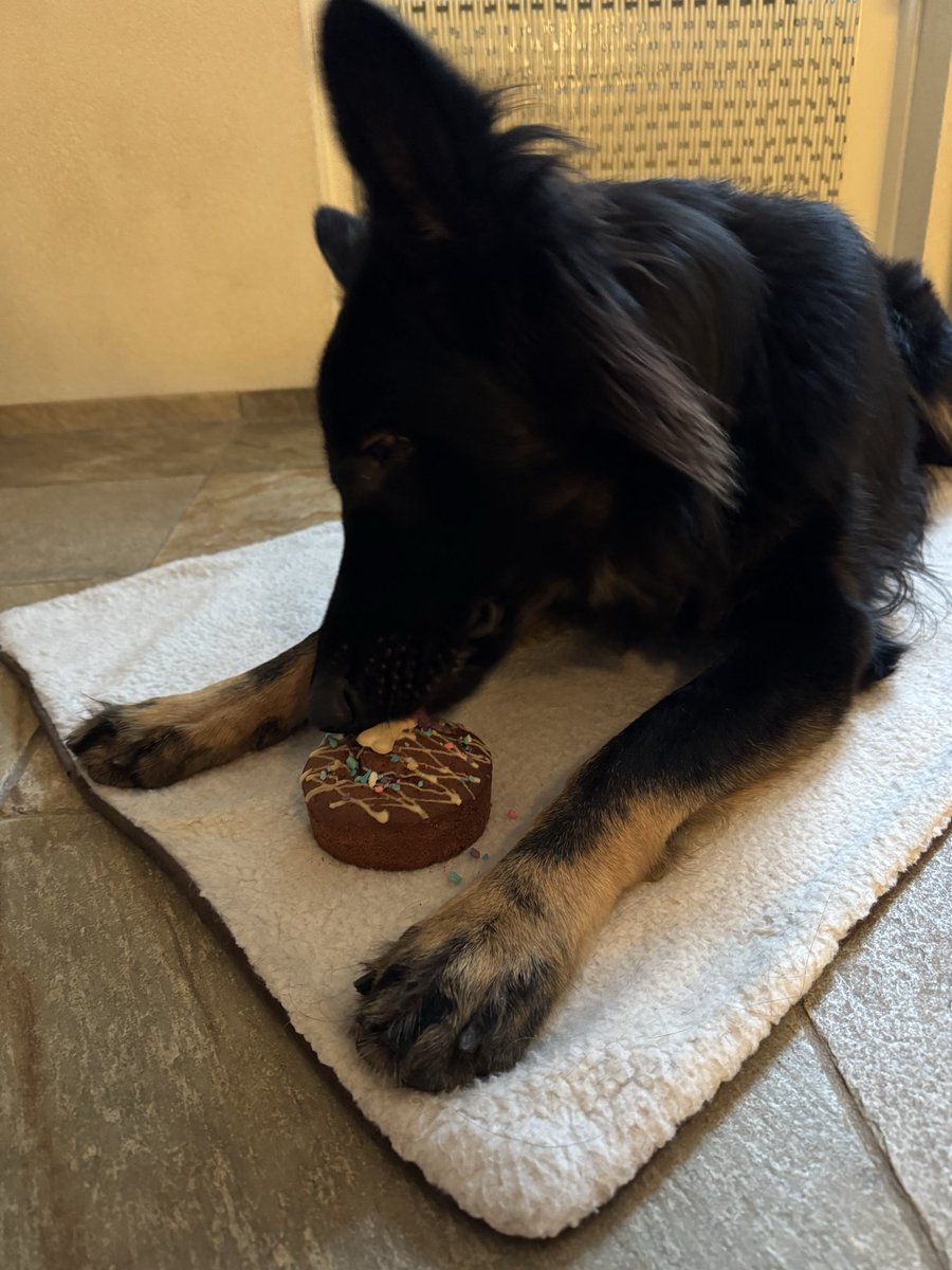 Lenneke Manschot tweet media