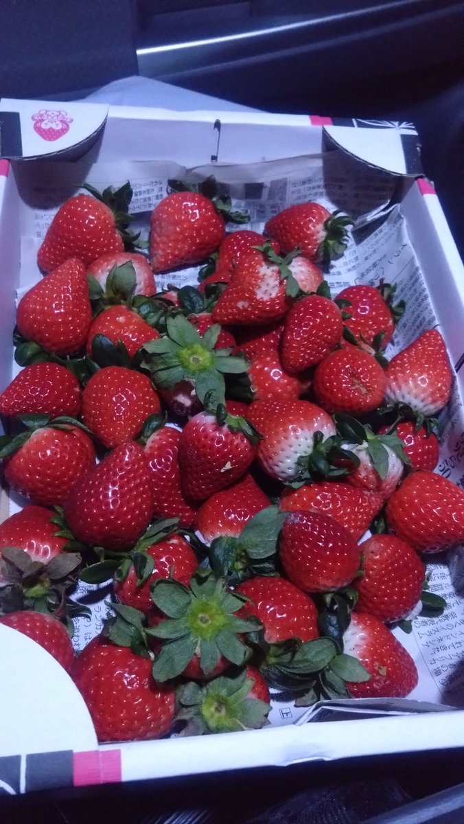 初物あまりん🍓頂きました😋