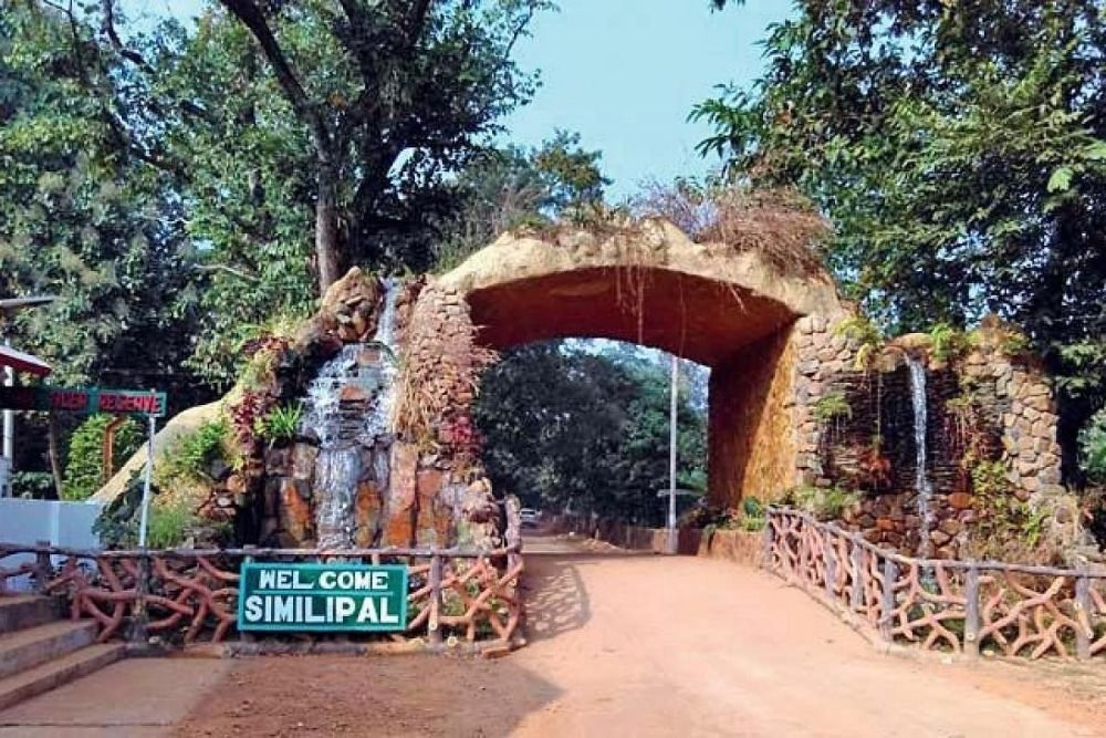 DharitriLive1's tweet photo. -ମୟୂରଭଞ୍ଜ ଜିଲା ଶିମିଳିପାଳରେ ତାପମାତ୍ରା ‘ଶୂନ’ ହୋଇଥିବା ରେକର୍ଡ
-ଉପରବାରକାମୁଡ଼ାରେ ‘ଶୂନ’ ତାପମାତ୍ରା ନେଇ ଆର୍ସିସିଏଫ୍ କାର୍ଯ୍ୟାଳୟ ପକ୍ଷରୁ ସୂଚନା
-ଚହଲାରେ ୨, ବରେଇପାଣି ଓ ଗୁଡୁଗୁଡ଼ିଆରେ ୫ ଡିଗ୍ରୀ ତାପମାତ୍ରା ରେକର୍ଡ କରାଯାଇଛି
#Similipal #ZeroTemperature #ColdWave #WeatherUpdate #BaripadaWeather #Odisha #Dharitri
👉 Follow Dharitri – Odisha’s No.1 Odia Daily 📰✨