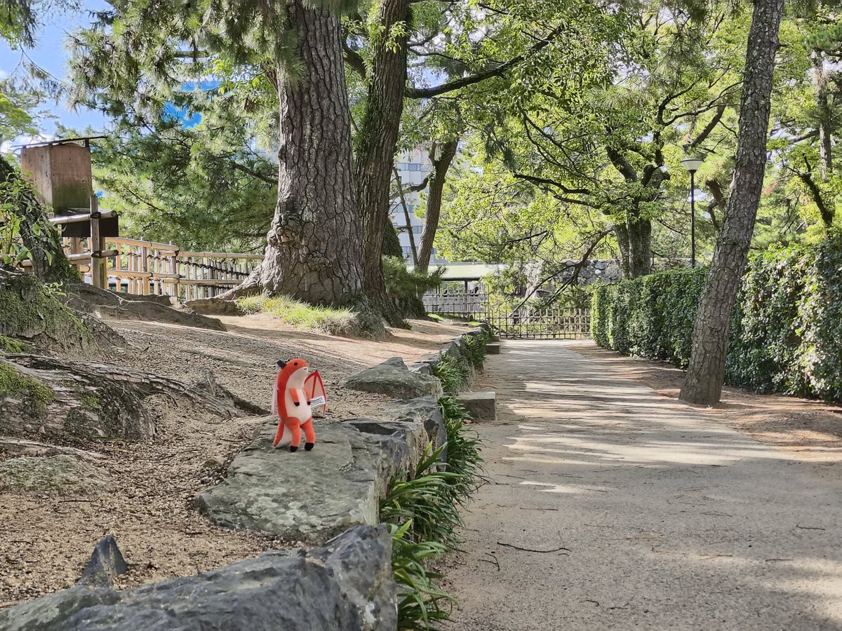 bbbbb_himiko's tweet image. #あきょぬい 🌳