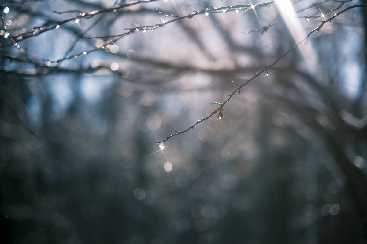 PenPen339's tweet image. 融雪