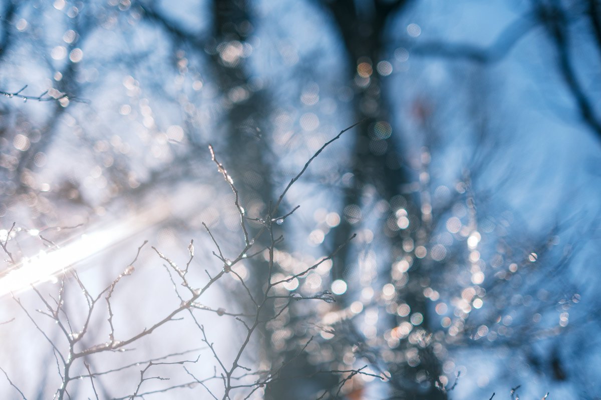 PenPen339's tweet image. 融雪