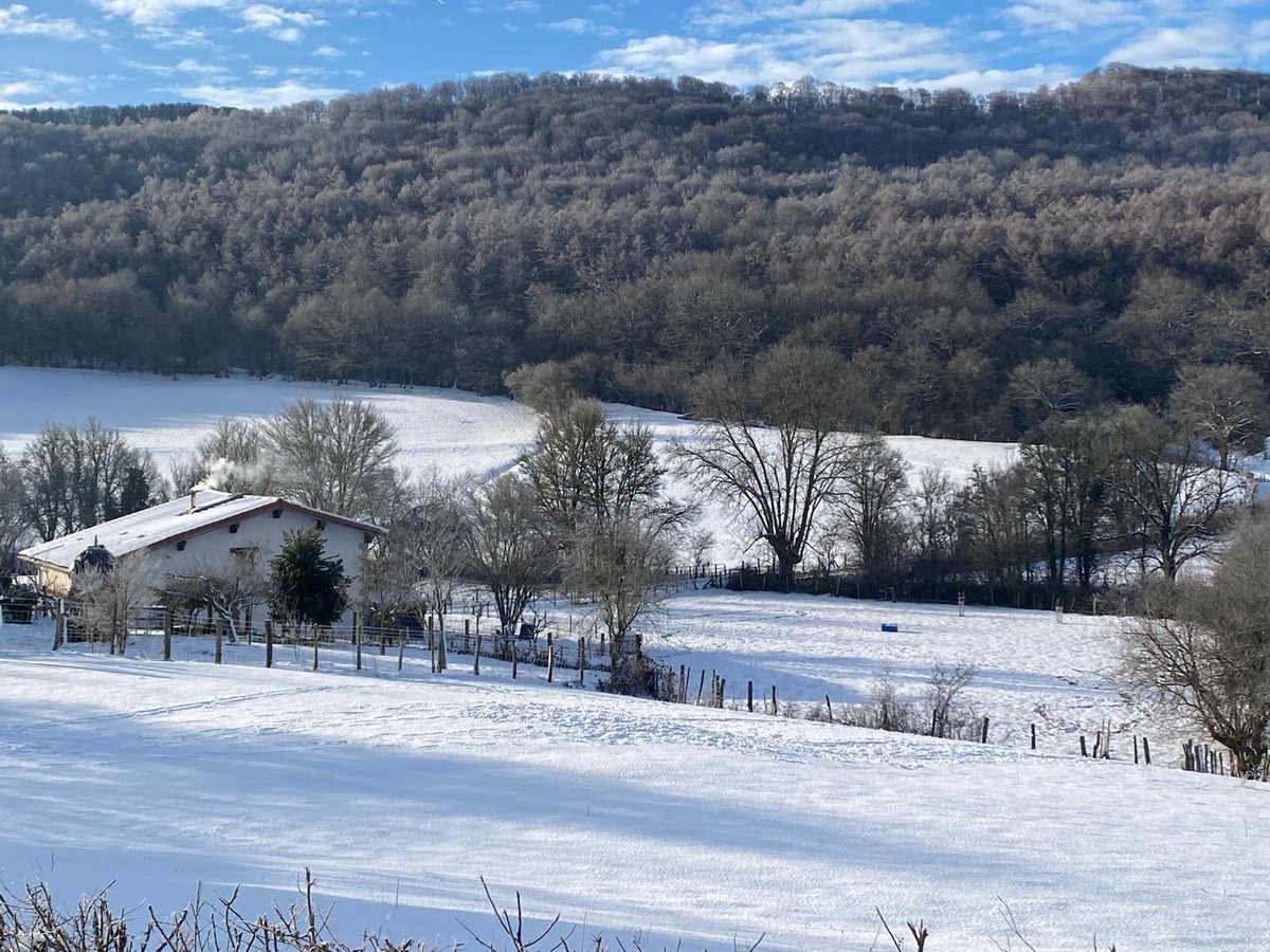 Ziganda. -4°🥶