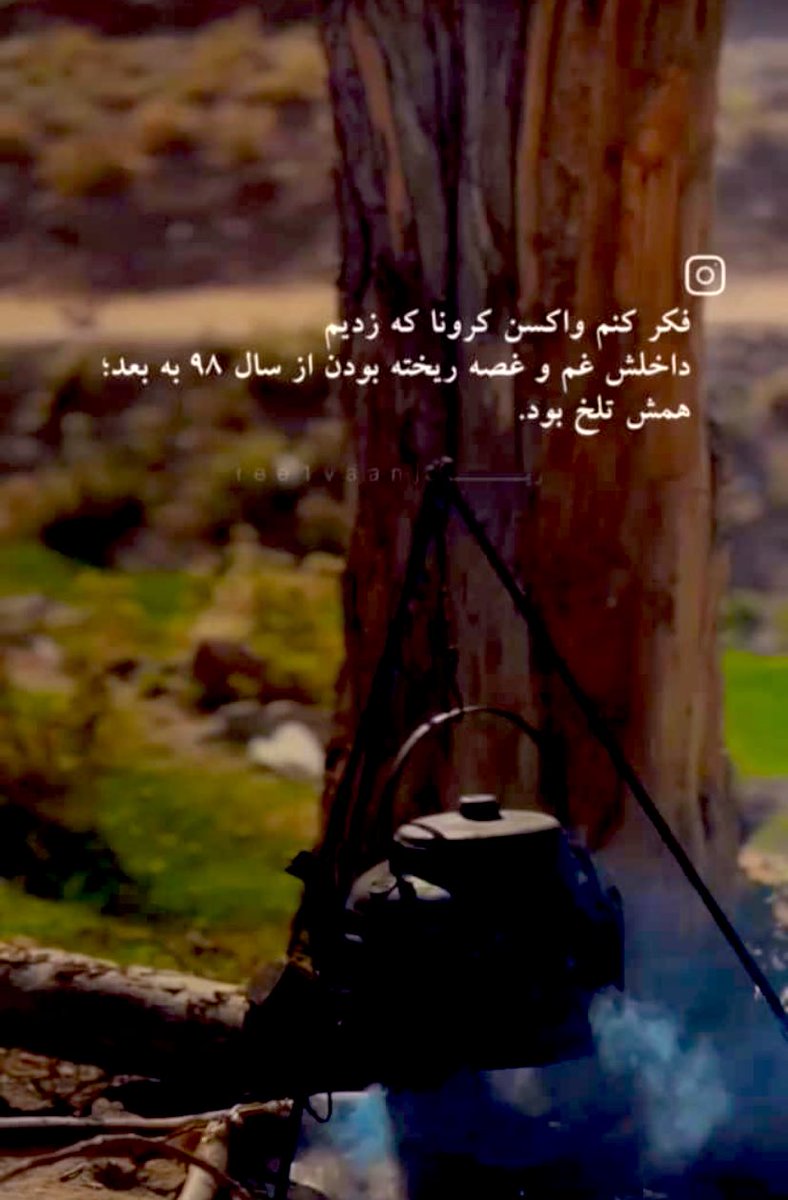 زَنبورِعَسَل🐝🍯 tweet media