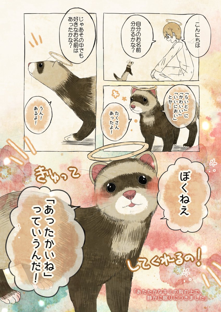 kuiruri's tweet image. 自分の名前を勘違いしているフェレット

#自分の名前を勘違いしている子