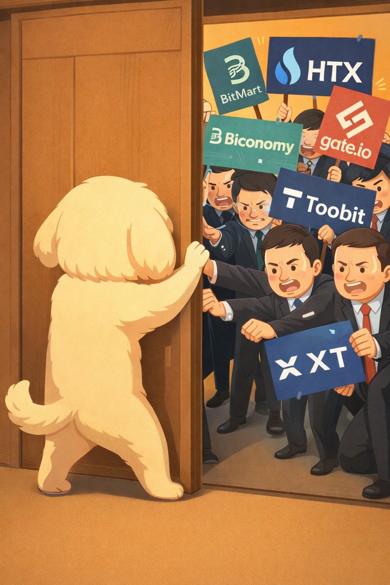 Shih Tzu | CTO tweet media