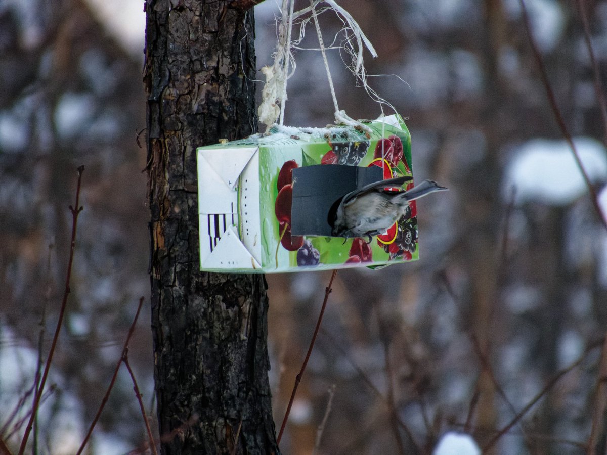 justcreepazoid's tweet image. Ещё немного кормушечного в благодарность за донат на лаватоп 💞💞💞💞💞💞💞💞💞💞💞💞💞💞💞💞💞💞💞💞