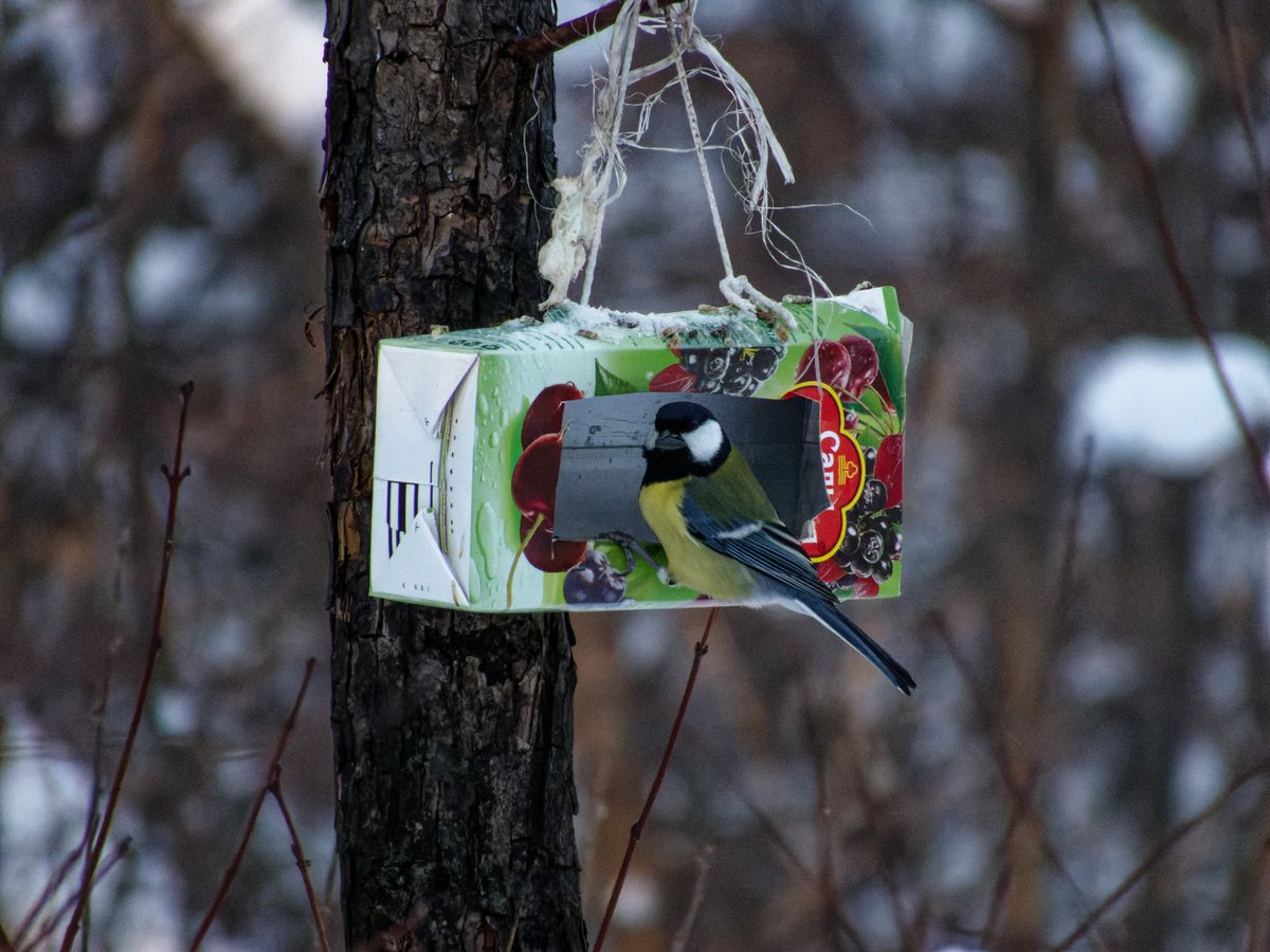 justcreepazoid's tweet image. Ещё немного кормушечного в благодарность за донат на лаватоп 💞💞💞💞💞💞💞💞💞💞💞💞💞💞💞💞💞💞💞💞