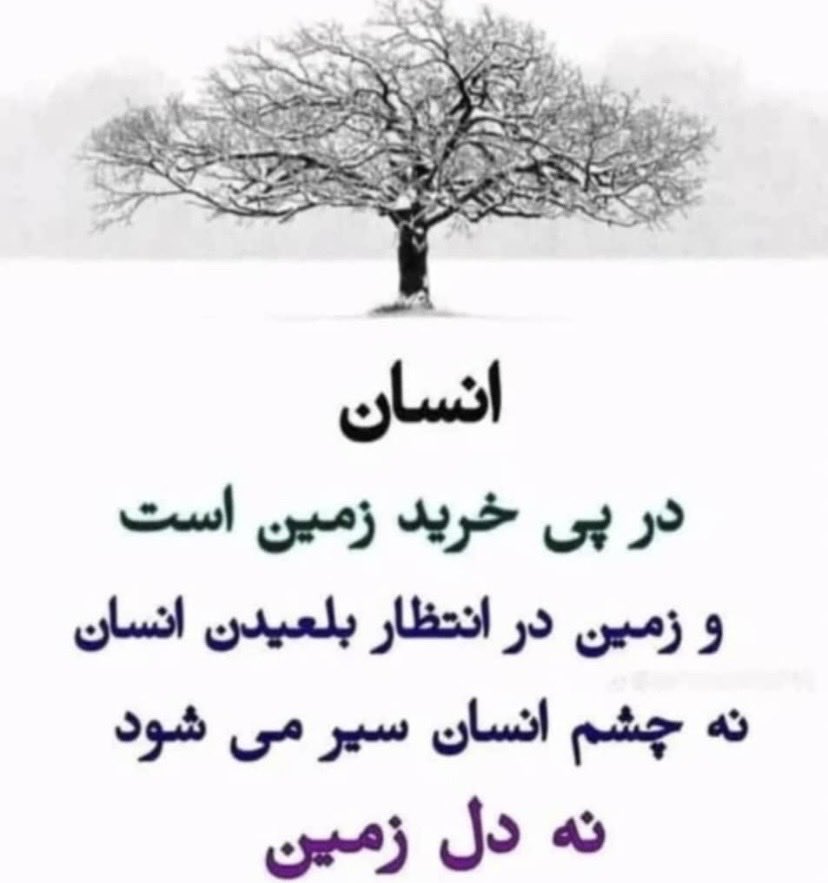 زَنبورِعَسَل🐝🍯 tweet media