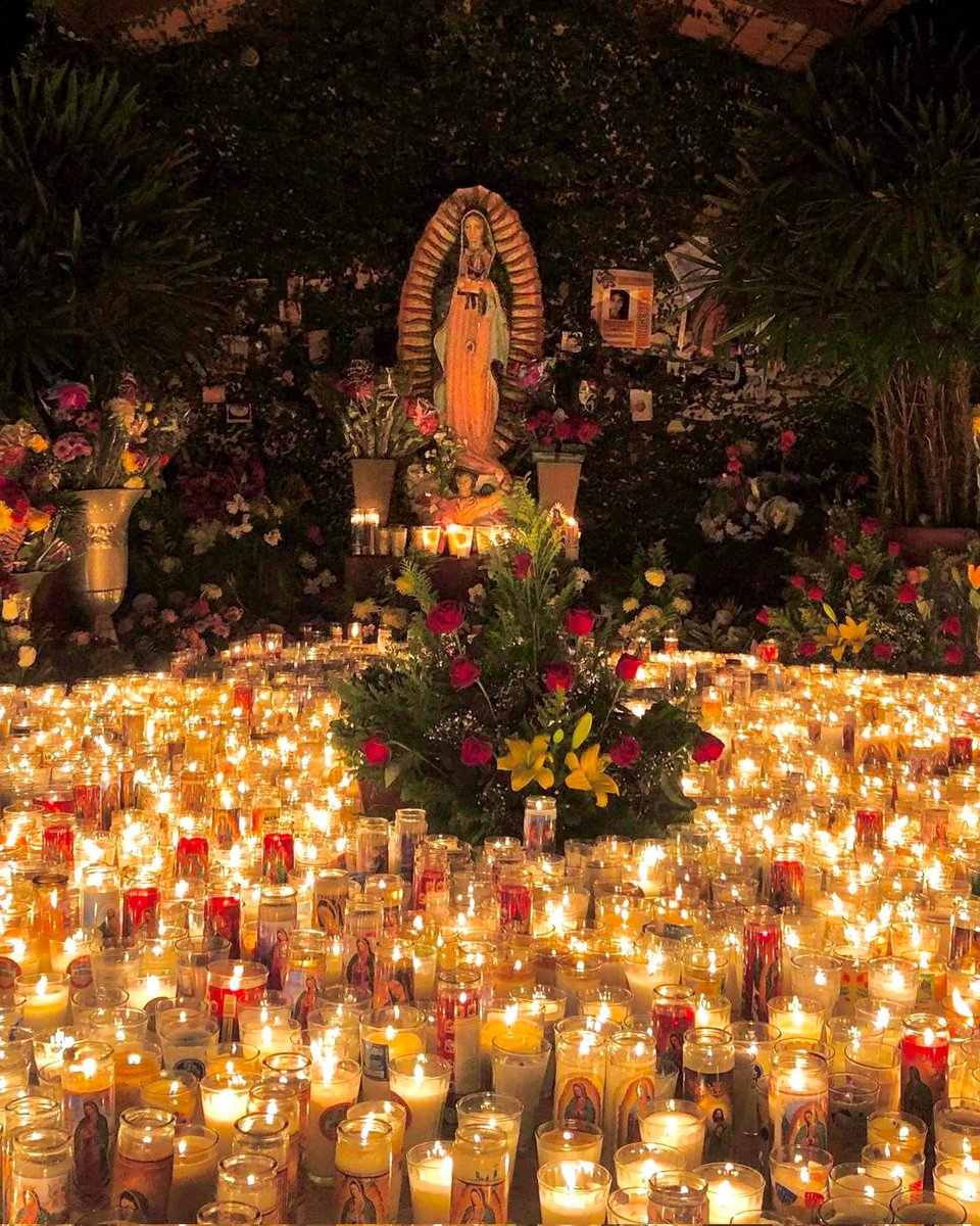 CatholicQuote12's tweet photo. Our Lady, help us to say “yes” to God as you did. https://t.co/4CAnbot9Su