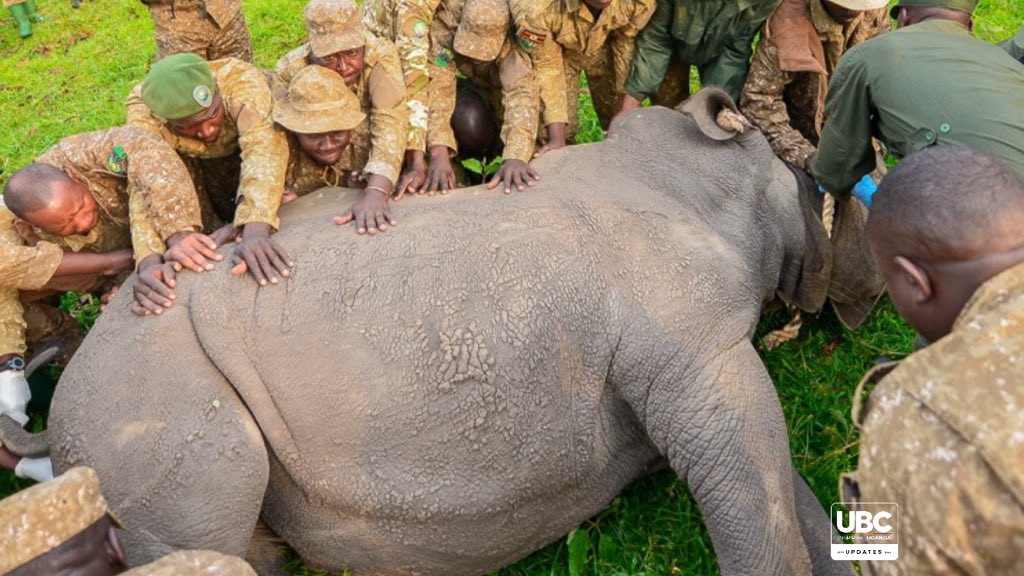 UBC UGANDA tweet media