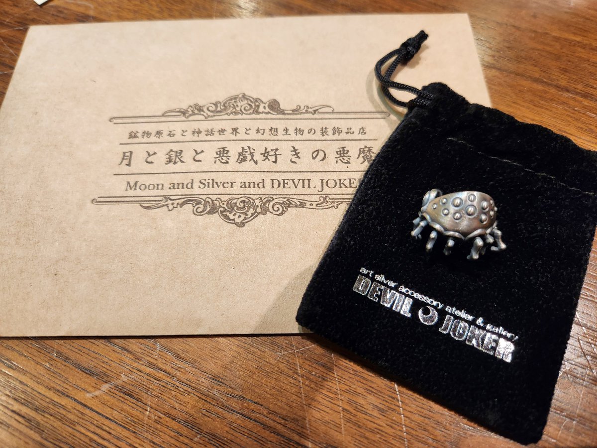DEVIL🌙JOKER(@DEVIL__JOKER)様で念願のアイホート様のイヤーカフを