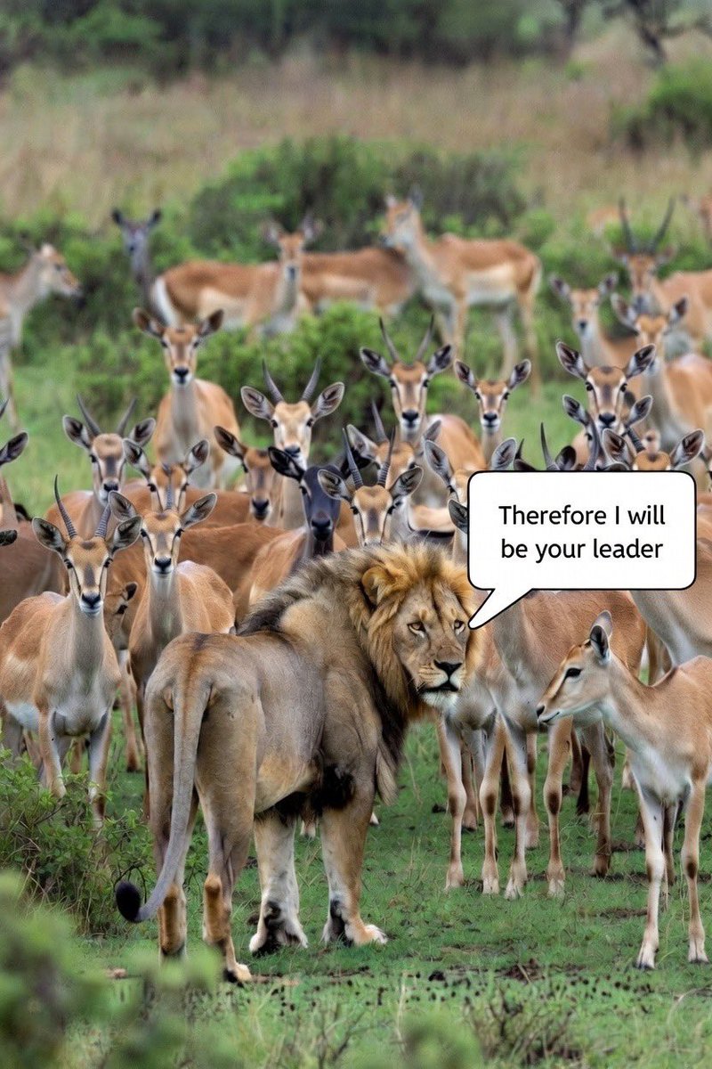 SpireJim's tweet image. The technicalities that are being based on to render some candidates unopposed may have legal justification but we need to think through their disenfranchising effect and how to go about it. They vulgarise and weaken democracy. If there are 3 candidates, including a very…