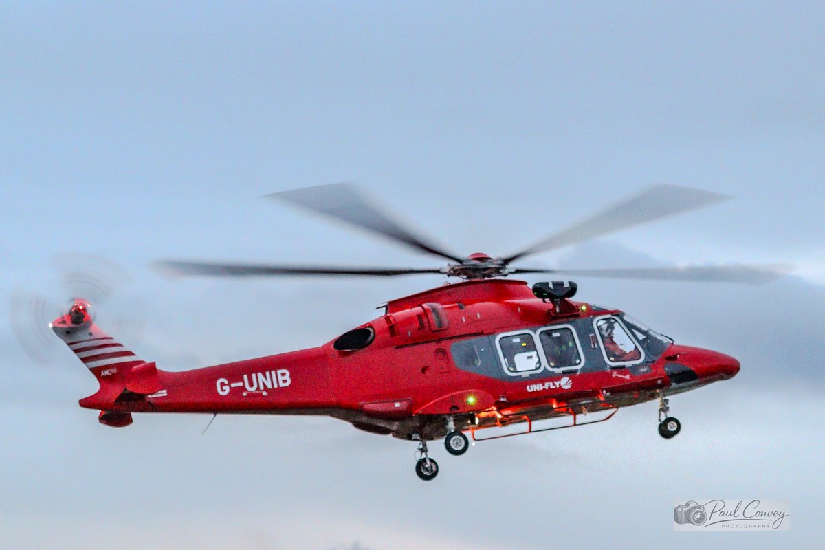 Livin' It Large Aviation tweet media