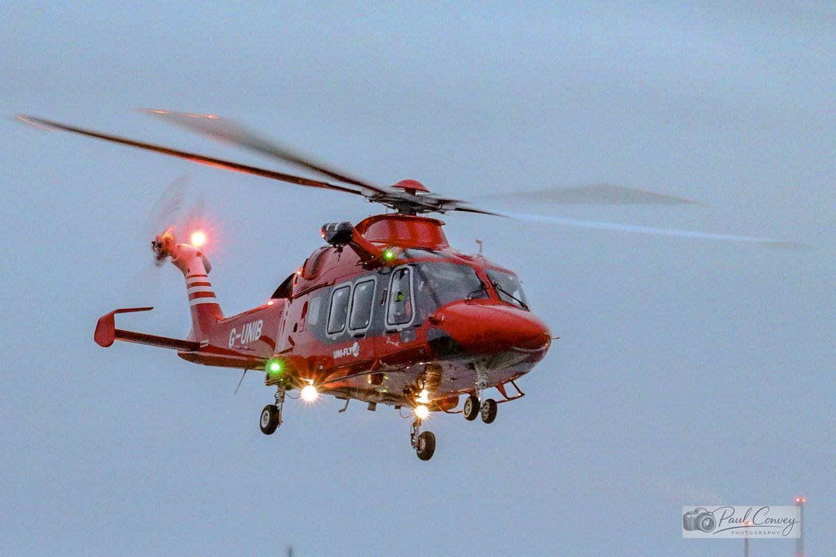 Livin' It Large Aviation tweet media