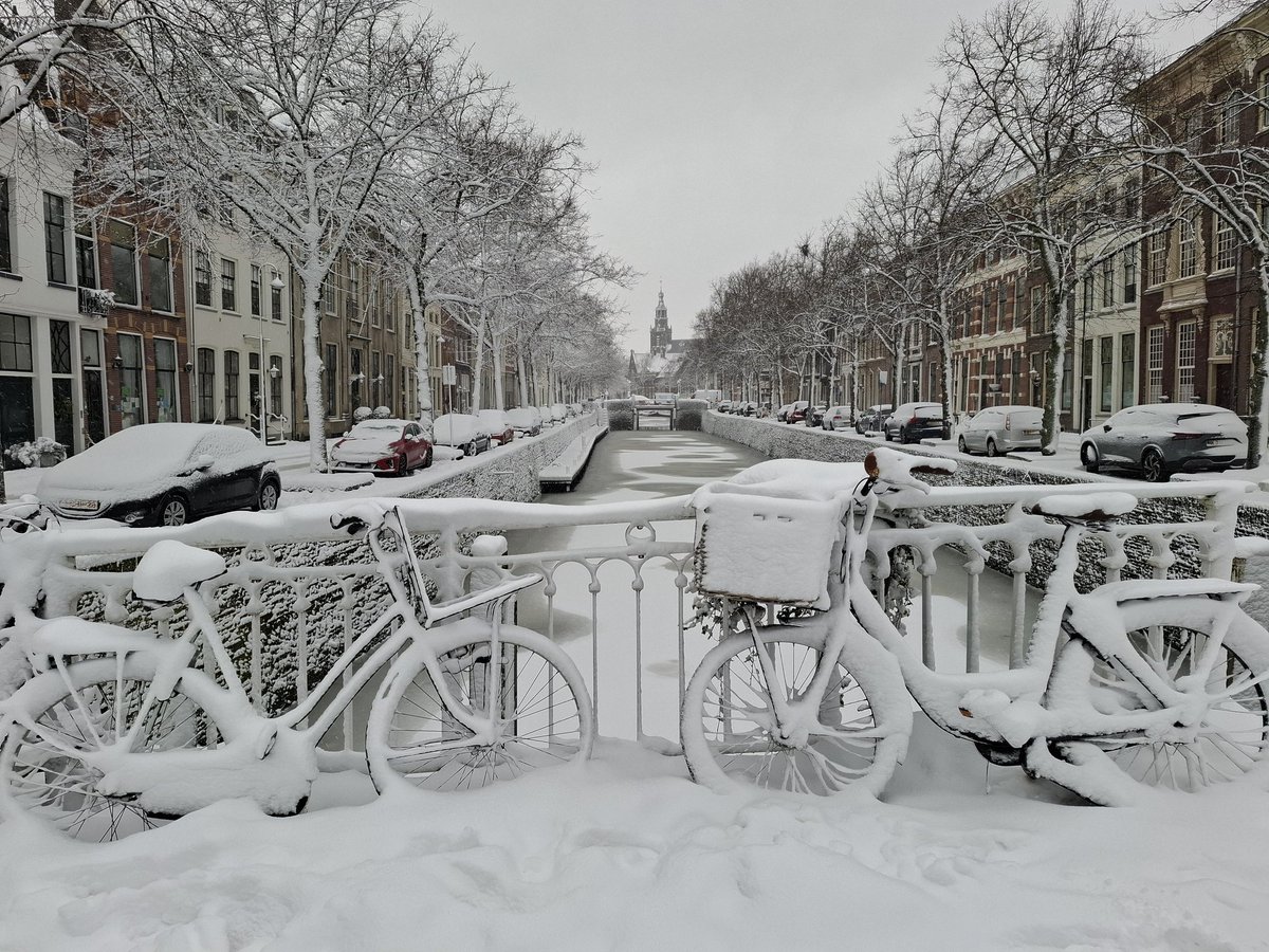 Maarten Molenaar tweet media