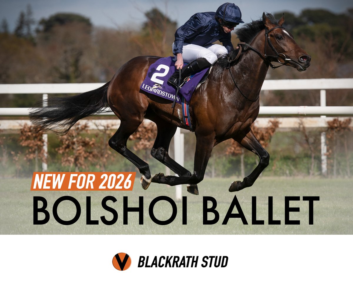 Blackrath Stud tweet media