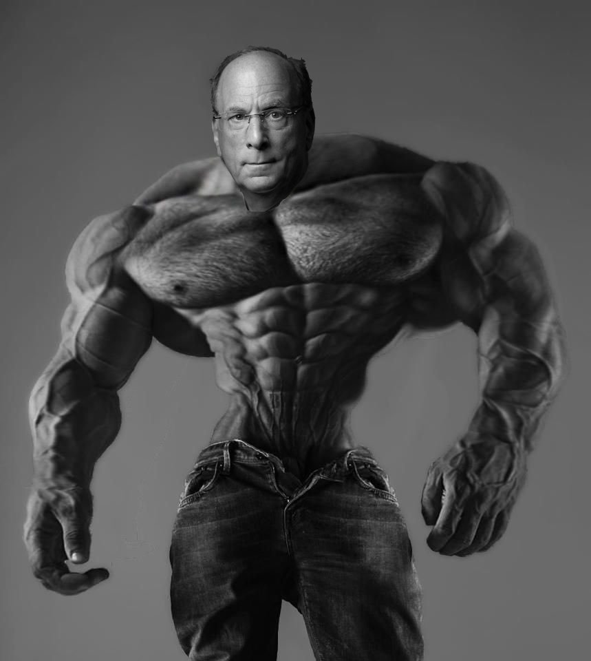 IMPERIUM tweet media