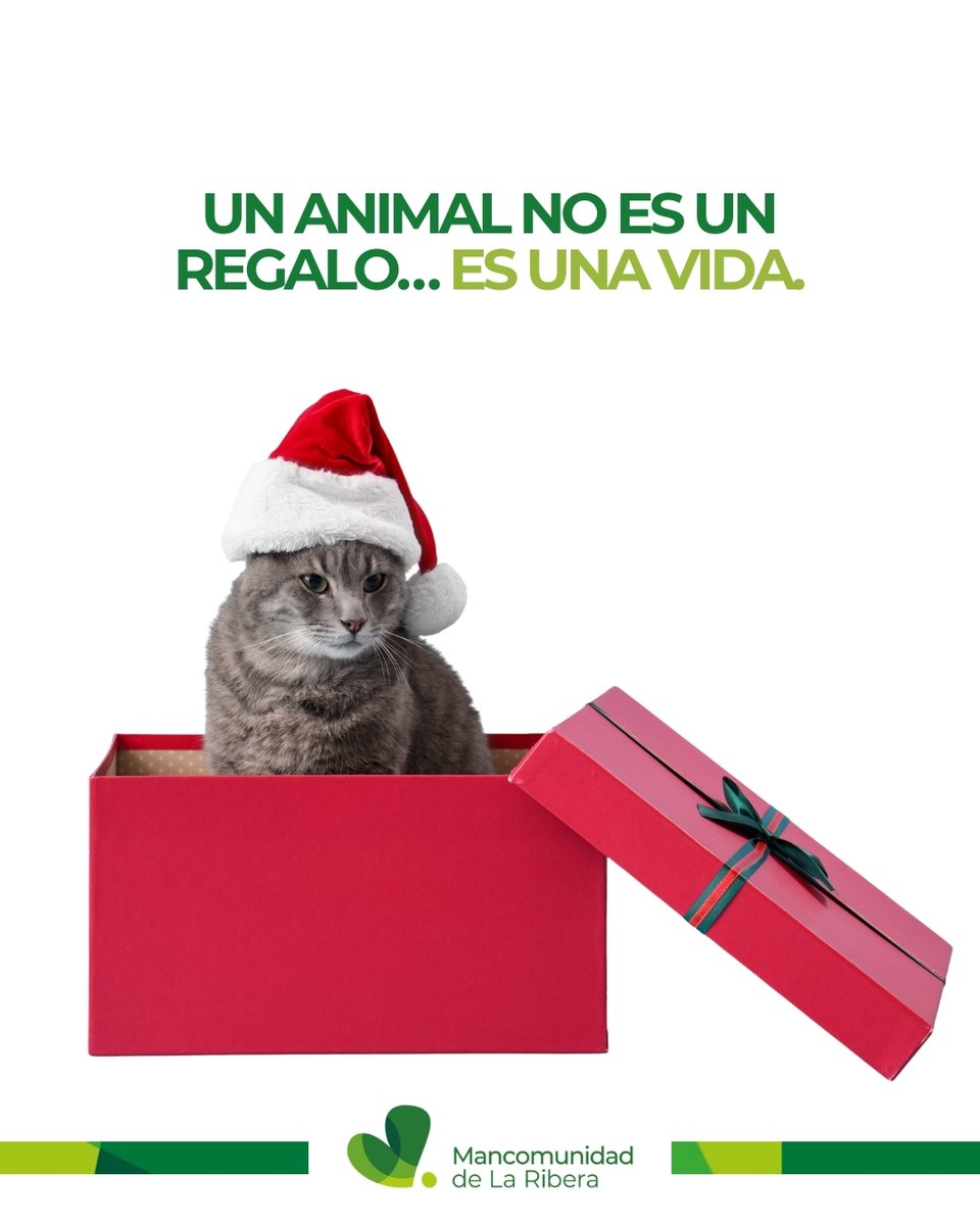 🎁 Un animal no es un regalo, es una vida.

✨ Adopta con conciencia y amor: no es un juguete, es un compromiso.

#AdoptaConResponsabilidad #NoEsUnRegaloEsUnaVida #AdoptaNoCompres