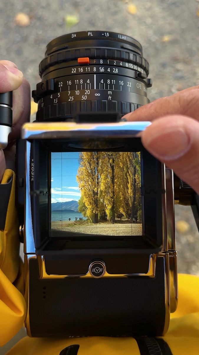 203FEとCFV 100Cの組み合わせが、時間の流れを静かに留め、シャッター