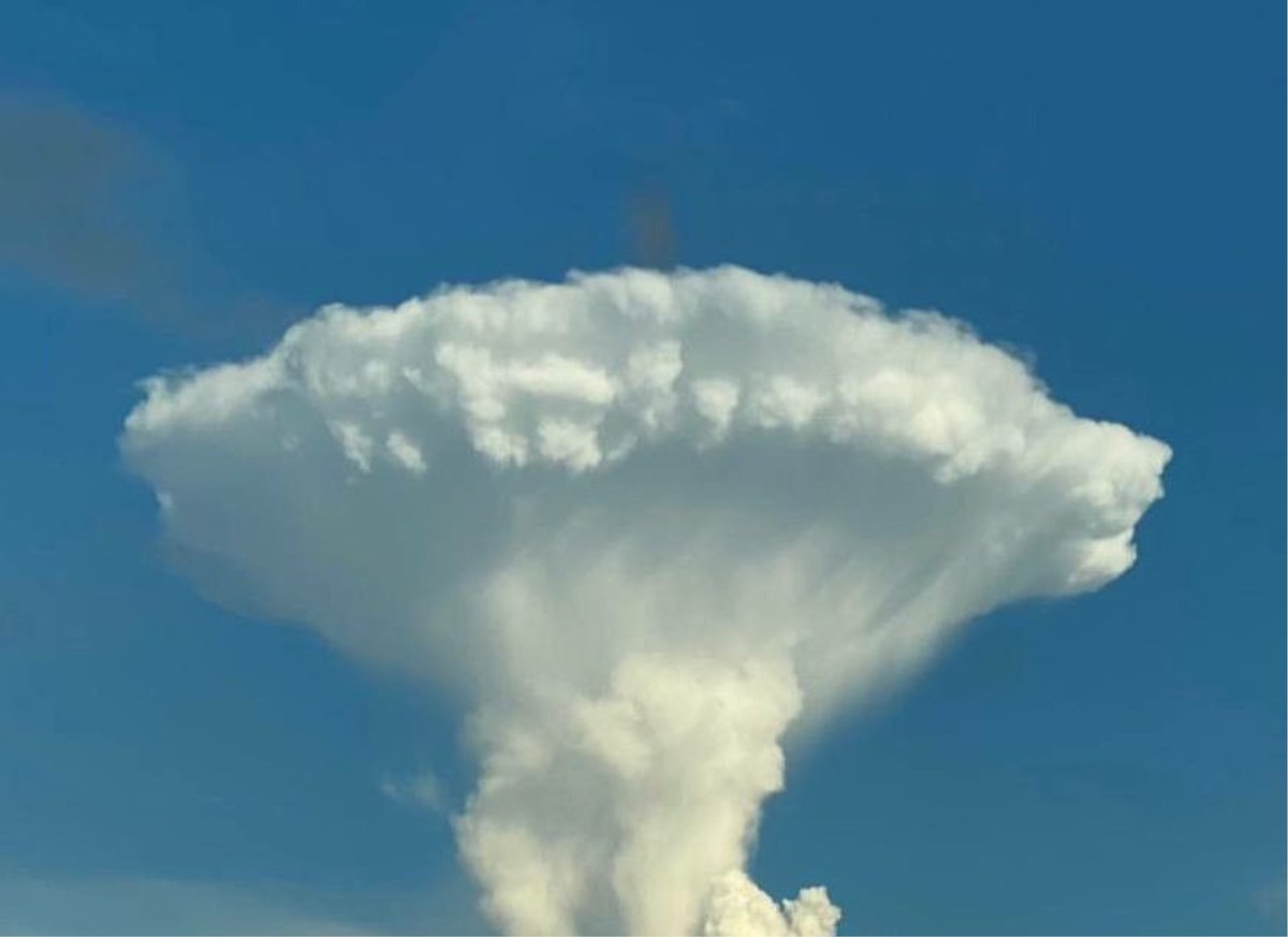 bronzefart tweet media