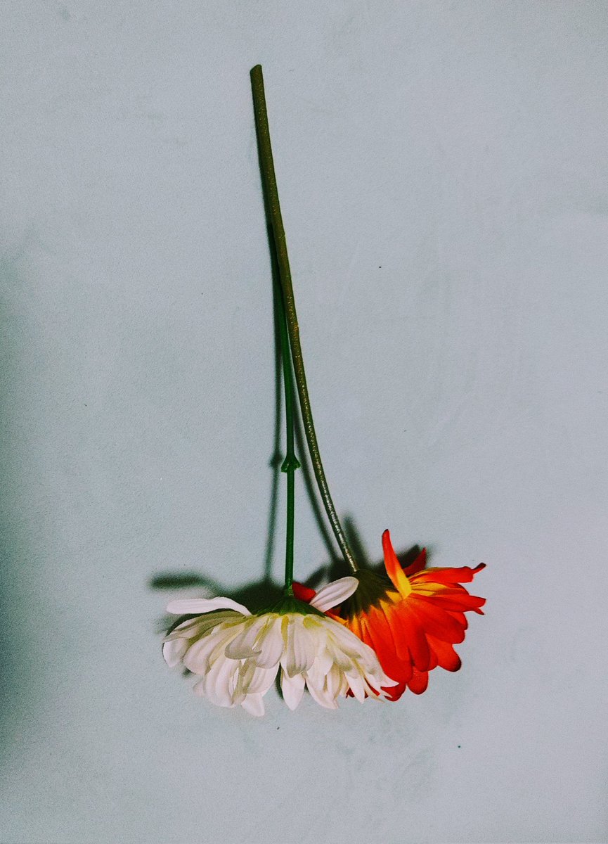 Hackyou_OL's tweet image. 造花を買いました