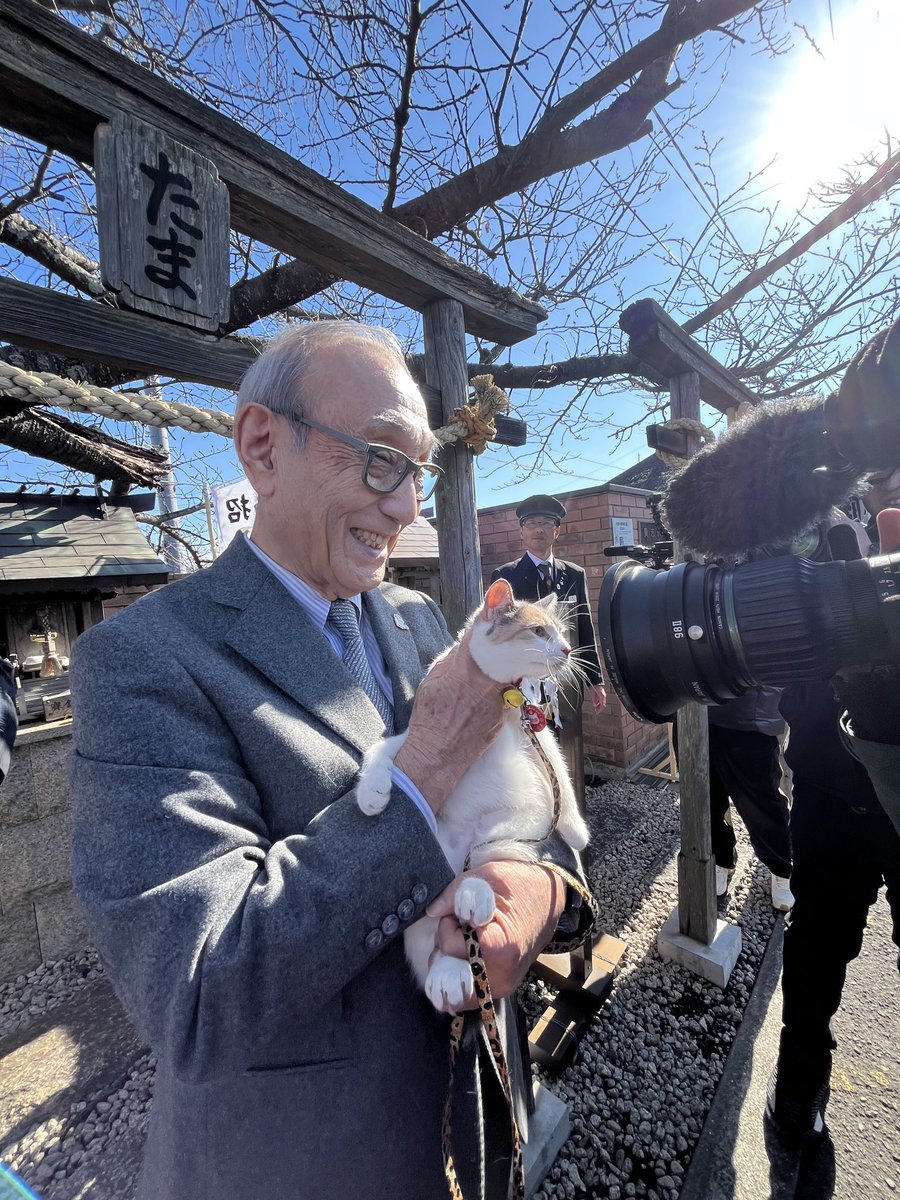 にゃんご！カメラ目線で、ドアップ対応！たいした度胸ですにゃんご！