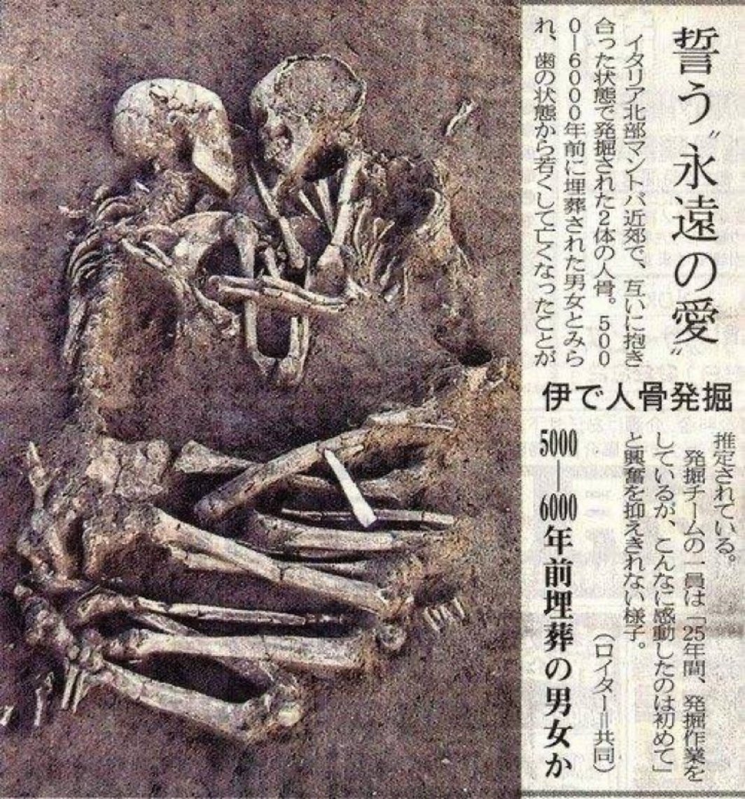 こーゆー終わり方まじで素敵すぎる