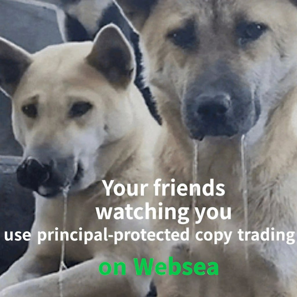 Why sweat when you can copy the best with zero sleep lost? 😂 #Websea #WBS  #ETHFI #BTC