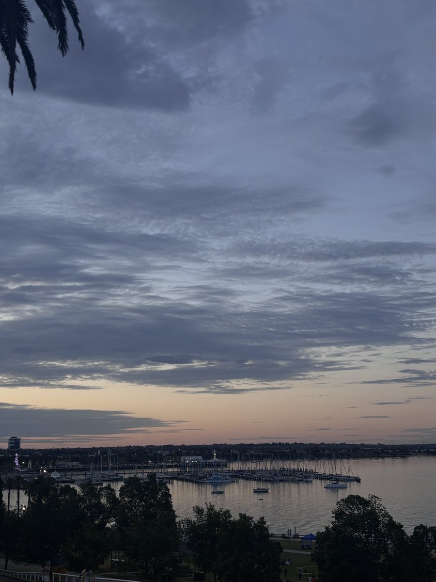 silverxcold's tweet image. okay geelong ya not so bad i guess