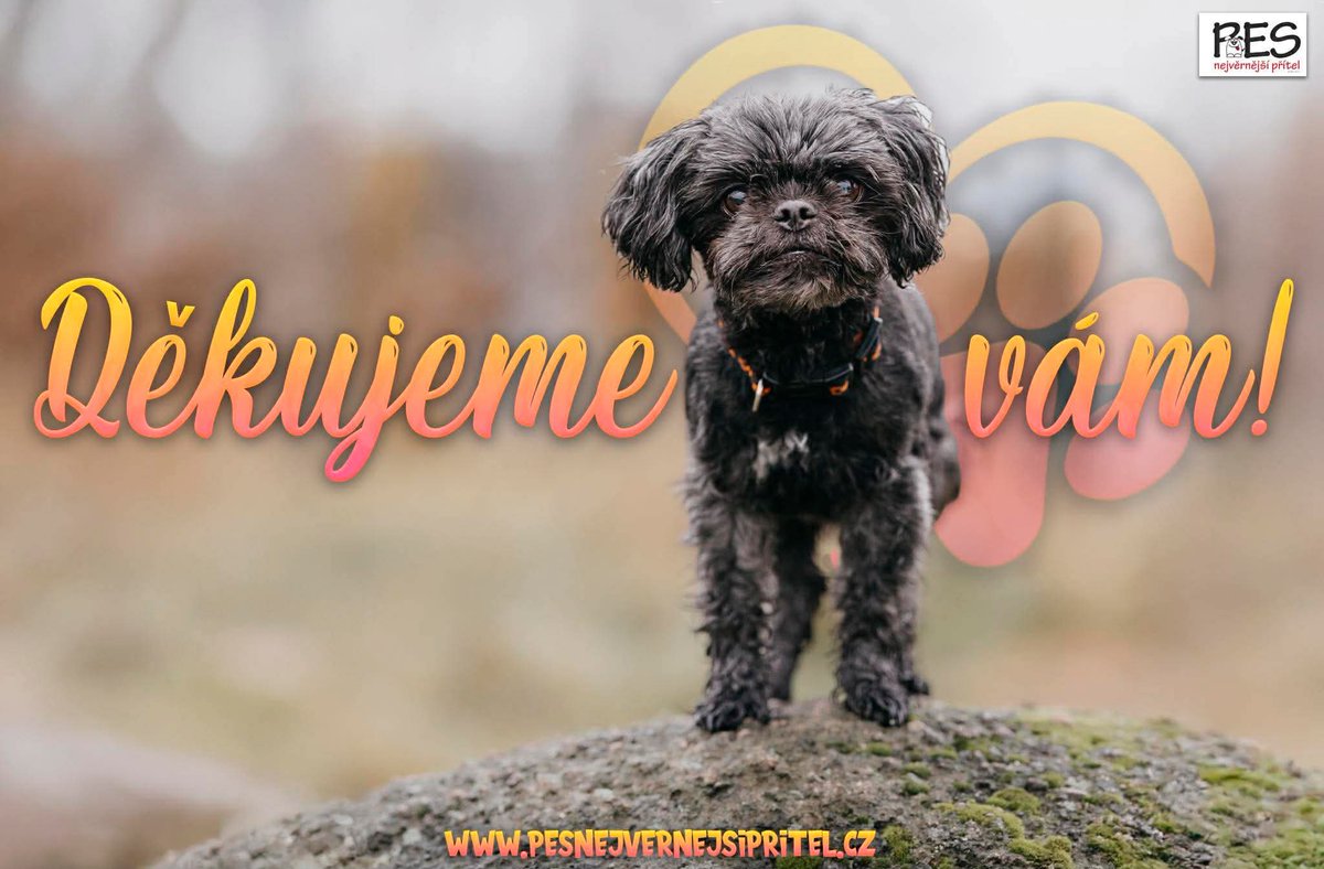 Rok 2025 je za námi.
Přijali jsme 129 zvířat. 113 z nich našlo nový domov. Ne všechno ale mělo šťastný konec – 8 jsme museli nechat odejít a dvakrát jsme byli nuceni vyhlásit STOPSTAV kvůli nedostatku dočaskářů a financí.
📩 docasky.pnp@seznam.cz
#utulek #docaska #zachranazvirat