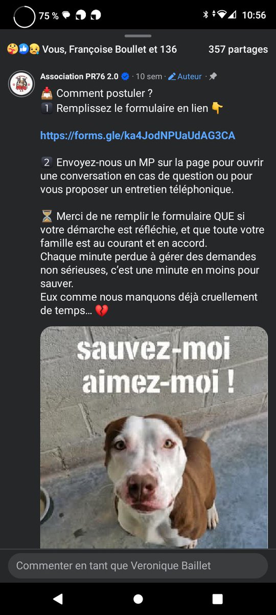 20320Vero's tweet photo. SOS Euthanasie ⚠️ Fourrière Ile de France ⚠️ ⚠️Le poignant et magnifique Buddy (2 ans) est toujours en fourrière car aucune famille pour lui sauver la vie 💔😢 Merci de partager SVP  PR76 🙏https://t.co/kKJ14AIDUp https://t.co/Cs1THEUhTk