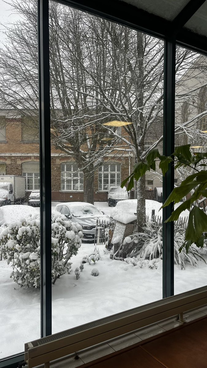 tsawerrandom4's tweet image. 🍲