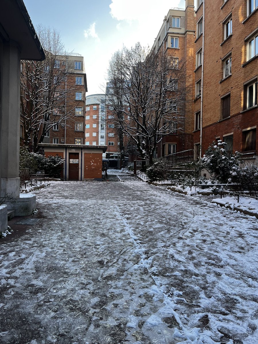 tsawerrandom4's tweet image. 🛝