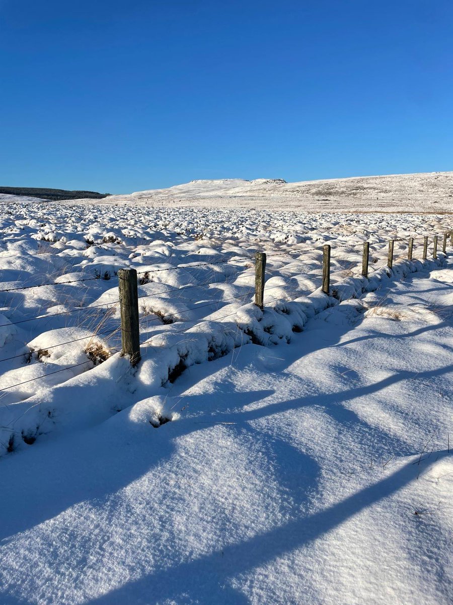 NorthWildlife's tweet photo. A wonderfully wintry scene on Blueburn Farm on the Rothbury Estate this week.

Such a striking landscape made even more dramatic by the pure white snow and intensely blue skies!

Find out more about the Rothbury Estate appeal and make a donation at 👉 https://t.co/rnJAETsBl4 https://t.co/v8YFPaMS2j
